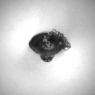 幅：5.2 (cm)×奥行：3.9 (cm)×高さ：7.7 (cm)／50 (g)，撮影・計測日：1997-04-14
