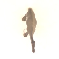 幅：2.1 (cm)×奥行：7.0 (cm)×高さ：5.6 (cm)／4 (g)，撮影・計測日：2004-03-08