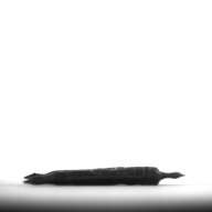 幅：3.8 (cm)×奥行：5.0 (cm)×高さ：0.5 (cm)／18 (g)，撮影・計測日：1997-04-04