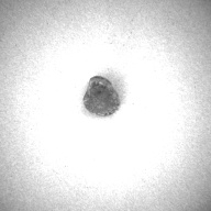 幅：1.0 (cm)×奥行：1.0 (cm)×高さ：0.8 (cm)／9 (g)，撮影・計測日：1997-04-24