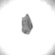 幅：1.4 (cm)×奥行：2.5 (cm)×高さ：0.4 (cm)／1 (g)，撮影・計測日：1997-05-14