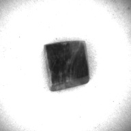 幅：1.8 (cm)×奥行：2.1 (cm)×高さ：1.0 (cm)／10 (g)，撮影・計測日：1997-05-13