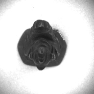 幅：2.9 (cm)×奥行：3.0 (cm)×高さ：4.0 (cm)／82 (g)，撮影・計測日：1997-06-10