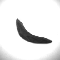 幅：15 (cm)×奥行：2.9 (cm)×高さ：1.1 (cm)／26 (g)，撮影・計測日：1997-06-25