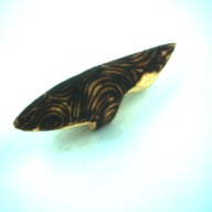 幅：3.7 (cm)×奥行：16 (cm)×高さ：4.2 (cm)／63 (g)，撮影・計測日：1997-07-14