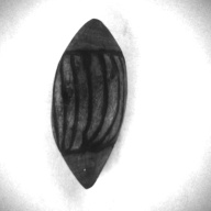 幅：4.0 (cm)×奥行：8.9 (cm)×高さ：3.9 (cm)／51 (g)，撮影・計測日：1997-07-07