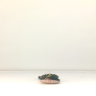 幅：15 (cm)×奥行：51 (cm)×高さ：6.1 (cm)／263 (g)，撮影・計測日：1997-05-30