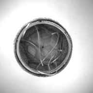 幅：18 (cm)×奥行：19 (cm)×高さ：21 (cm)／277 (g)，撮影・計測日：1997-07-22