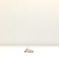 幅：1.9 (cm)×奥行：29 (cm)×高さ：1.6 (cm)／21 (g)，撮影・計測日：1997-08-01