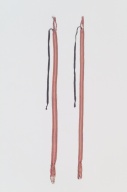 横：2.9 (cm)×縦：115 (cm)／35 (g)，撮影・計測日：2005-09-09