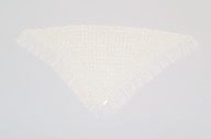 横：161 (cm)×縦：85 (cm)／126 (g)，撮影・計測日：2005-08-24