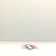 幅：7.3 (cm)×奥行：74 (cm)×高さ：0.8 (cm)／223 (g)，撮影・計測日：1998-04-20
