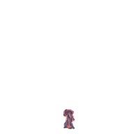 幅：0.5 (cm)×奥行：37 (cm)×高さ：7.2 (cm)／22 (g)，撮影・計測日：1998-05-11