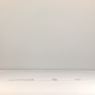 幅：3.8 (cm)×奥行：65 (cm)×高さ：1.0 (cm)／36 (g)，撮影・計測日：1998-04-23