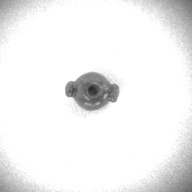 幅：1.6 (cm)×奥行：1.2 (cm)×高さ：1.0 (cm)／1 (g)，撮影・計測日：1997-11-14