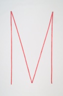 幅：2.5 (cm)×全長：833 (cm)／139 (g)，撮影・計測日：2005-03-11