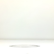 幅：25 (cm)×奥行：25 (cm)×高さ：0.3 (cm)／190 (g)，撮影・計測日：1995-11-07