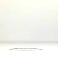 幅：25 (cm)×奥行：25 (cm)×高さ：0.3 (cm)／190 (g)，撮影・計測日：1995-11-07