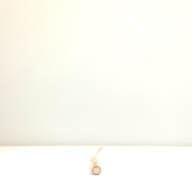 幅：34 (cm)×奥行：2.1 (cm)×高さ：1.8 (cm)／12 (g)，撮影・計測日：1998-08-21