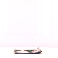 幅：19 (cm)×奥行：12 (cm)×高さ：0.6 (cm)，撮影・計測日：1998-11-11