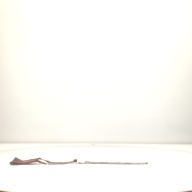 幅：16 (cm)×奥行：86 (cm)×高さ：1.2 (cm)／900 (g)，撮影・計測日：1998-10-29