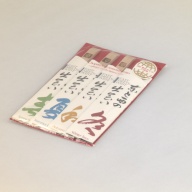 幅：4.3 (cm)×奥行：22 (cm)×高さ：0.2 (cm)／51 (g)，撮影・計測日：1998-11-19