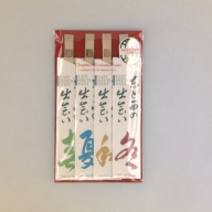 幅：4.3 (cm)×奥行：22 (cm)×高さ：0.2 (cm)／51 (g)，撮影・計測日：1998-11-19