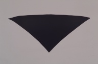 横：124 (cm)×縦：59 (cm)／60 (g)，撮影・計測日：2003-02-12