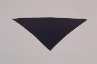 横：126 (cm)×縦：57 (cm)／59 (g)，撮影・計測日：2003-02-12