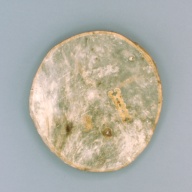 幅：52 (cm)×奥行：55 (cm)×高さ：2.9 (cm)／456 (g)，撮影・計測日：2003-11-28