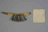 撮影・計測日：2010-04-06