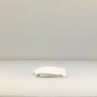 幅：14 (cm)×奥行：30 (cm)×高さ：1.9 (cm)／88 (g)，撮影・計測日：1999-12-06
