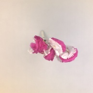 幅：42 (cm)×奥行：28 (cm)×高さ：64 (cm)／193 (g)，撮影・計測日：1999-12-10