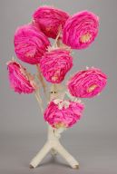 撮影・計測日：2014-01-27