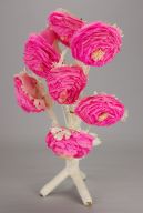 撮影・計測日：2014-01-27