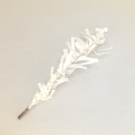 幅：7.4 (cm)×奥行：32 (cm)×高さ：3.0 (cm)／3 (g)，撮影・計測日：1999-12-10