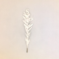 幅：7.4 (cm)×奥行：32 (cm)×高さ：3.0 (cm)／3 (g)，撮影・計測日：1999-12-10