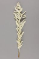 撮影・計測日：2014-01-27