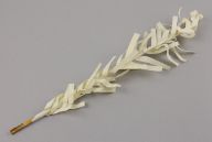 撮影・計測日：2014-01-27