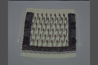 撮影・計測日：2002-04-17