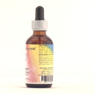 幅：3.8 (cm)×奥行：3.8 (cm)×高さ：12 (cm)／127 (g)，撮影・計測日：2000-12-12