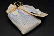 撮影・計測日：2011-06-10