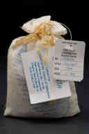 撮影・計測日：2011-06-10