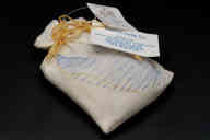 撮影・計測日：2011-06-10