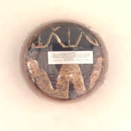 幅：10 (cm)×奥行：10 (cm)×高さ：6.0 (cm)／146 (g)，撮影・計測日：2000-12-11