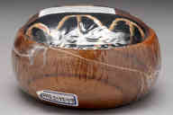 撮影・計測日：2011-06-15