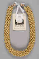 撮影・計測日：2011-07-27