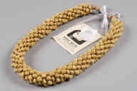 撮影・計測日：2011-07-27