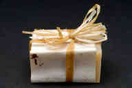 撮影・計測日：2011-06-09