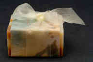 撮影・計測日：2011-06-09